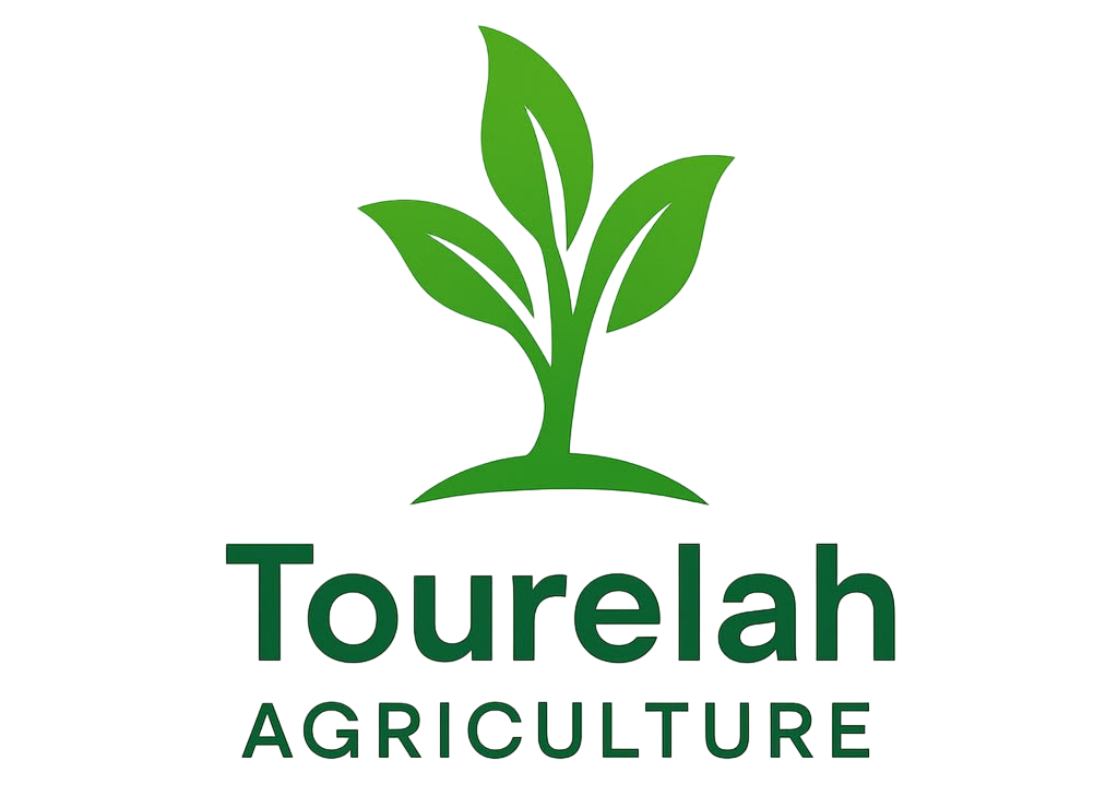 Tourelah Agriculture
